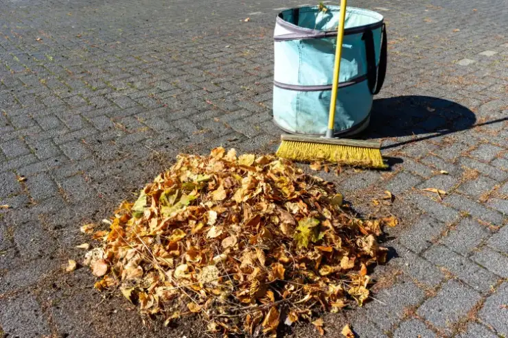 The Connection Between Street Sweeping and Reducing Pollution in Newport Beach, CA The Connection Between Street Sweeping and Reducing Pollution in Newport Beach, CA